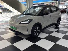 Wuling Binguo PLUS 2024 330km 5-Seater - ფოტო 1