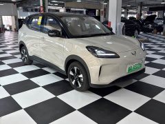 Wuling Binguo PLUS 2024 330km 5-Seater - ფოტო 3