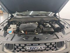 Haval Big Dog PLUS 2023 2.0T Two-Wheel Drive Trendy Wilderness Edition - ფოტო 10