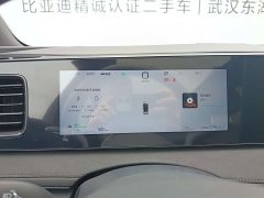 BYD Haima Lion Haima Sealion 06 DM-i 205 Pilot Plus - photo 11