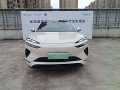 BYD Haima Lion Haima Sealion 06 DM-i 205 Pilot Plus - photo 2