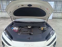 BYD Haima Lion Haima Sealion 06 DM-i 205 Pilot Plus - photo 4