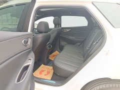 BYD Haima Lion Haima Sealion 06 DM-i 205 Pilot Plus - photo 8