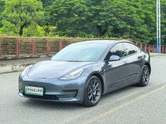 Tesla Model 3 Standard Range RWD Upgrade - ფოტო 1