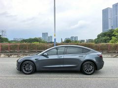 Tesla Model 3 Standard Range RWD Upgrade - ფოტო 18
