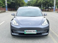 Tesla Model 3 Standard Range RWD Upgrade - ფოტო 2