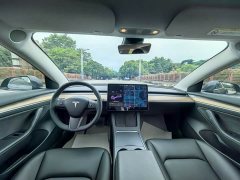 Tesla Model 3 Standard Range RWD Upgrade - ფოტო 9