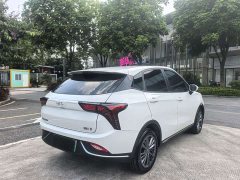Neta V 2022 Tide 400 Lite - ფოტო 4