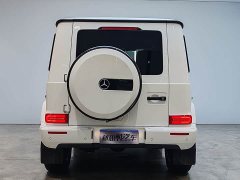 Mercedes-Benz G-Class G 350 - ფოტო 8