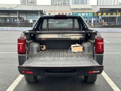 BYD Domain Tiger Yuanhu 9 2.0T Automatic Diesel 4WD Supreme Edition - photo 16