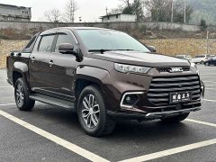 BYD Domain Tiger Yuanhu 9 2.0T Automatic Diesel 4WD Supreme Edition - photo 3