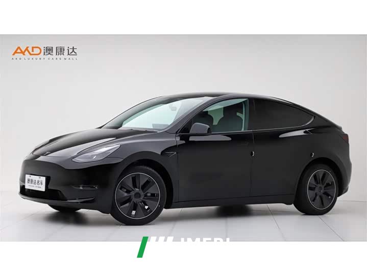 Tesla Model Y Rear-Wheel Drive