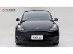 Tesla Model Y Rear-Wheel Drive - ფოტო 2