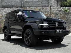 Tank 300 2021 Off-Road Edition 2.0T Challenger - ფოტო 3
