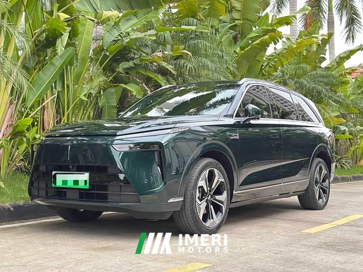 Great Wall WEY Blue Mountain 2023 Four-Wheel Drive Extended Range Version - ავტომობილი ჩინეთიდან