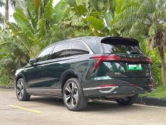 Great Wall WEY Blue Mountain 2023 Four-Wheel Drive Extended Range Version - ფოტო 5