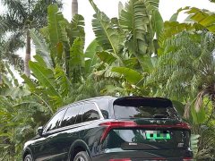 Great Wall WEY Blue Mountain 2023 Four-Wheel Drive Extended Range Version - ფოტო 8