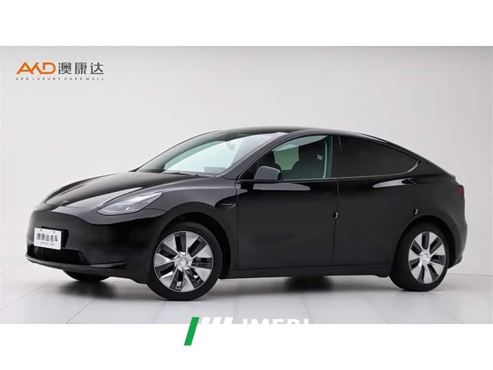 Tesla Model Y 2022 Rear-Wheel Drive
