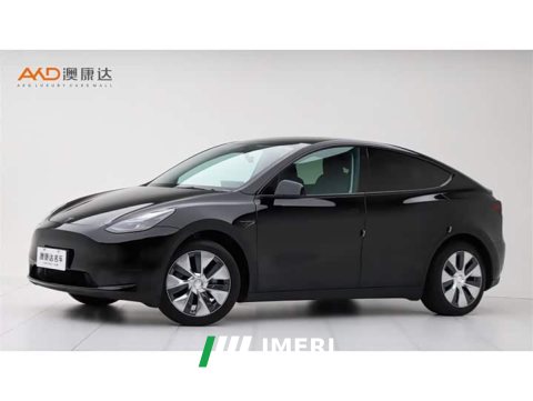 2023 Tesla Model Y 2022 Rear-Wheel Drive - ავტომობილი ჩინეთიდან