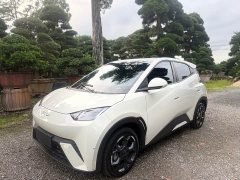BYD Seagull Glory Edition 305km Freedom Version - ფოტო 1