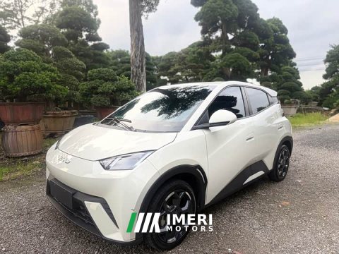 2024 BYD Seagull Glory Edition 305km Freedom Version - ავტომობილი ჩინეთიდან