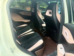 BYD Seagull Glory Edition 305km Freedom Version - ფოტო 11