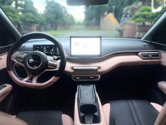 BYD Seagull Glory Edition 305km Freedom Version - ფოტო 14