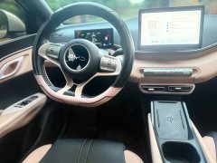 BYD Seagull Glory Edition 305km Freedom Version - ფოტო 15