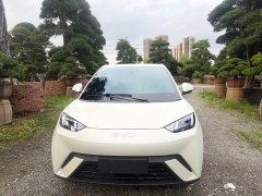 BYD Seagull Glory Edition 305km Freedom Version - ფოტო 2