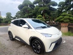BYD Seagull Glory Edition 305km Freedom Version - ფოტო 3