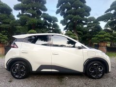 BYD Seagull Glory Edition 305km Freedom Version - ფოტო 4