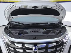 Denza D9 2022 DM-i 970 AWD Flagship - ფოტო 10