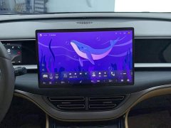 Denza D9 2022 DM-i 970 AWD Flagship - ფოტო 13