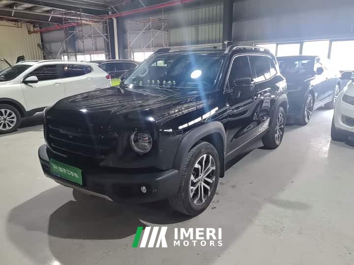 Great Wall Dachshund 1.5T DCT Two-Wheel Drive Border Collie Edition