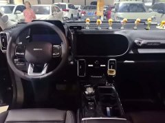 Great Wall Dachshund 1.5T DCT Two-Wheel Drive Border Collie Edition - ფოტო 11