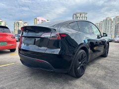Tesla Model Y Rear-Wheel Drive - ფოტო 10