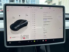 Tesla Model Y Rear-Wheel Drive - ფოტო 13