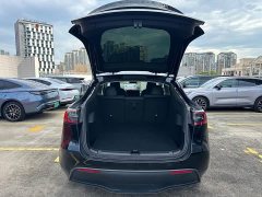 Tesla Model Y Rear-Wheel Drive - ფოტო 18