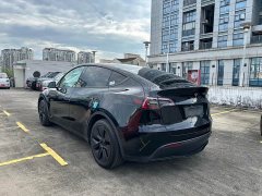 Tesla Model Y Rear-Wheel Drive - ფოტო 9