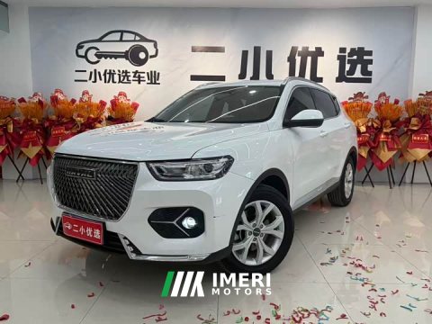 2021 Haval H6 1.5L Turbocharged Automatic Urban Edition - ავტომობილი ჩინეთიდან