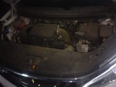 Geely Emgrand X3 2020 1.5L CVT Luxury - ფოტო 10