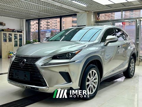 2021 Lexus NX 2020 200 AWD Sharp Luxury Edition National V - ავტომობილი ჩინეთიდან
