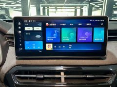 Haval Chitu Jingxiang Edition 1.5T Purple Copper Rabbit - ფოტო 15