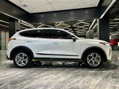 Haval Chitu Jingxiang Edition 1.5T Purple Copper Rabbit - ფოტო 4