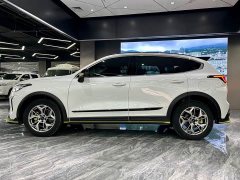 Haval Chitu Jingxiang Edition 1.5T Purple Copper Rabbit - ფოტო 8