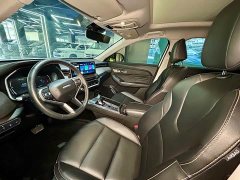 Haval Chitu Jingxiang Edition 1.5T Purple Copper Rabbit - ფოტო 9