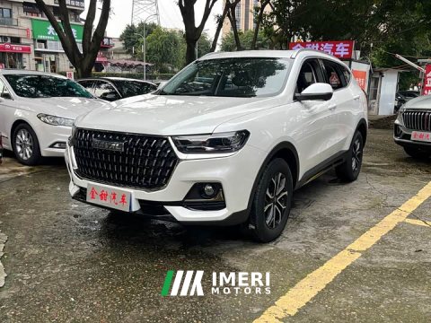 2024 Haval H6 2023 National Trend Edition 1.5T Automatic Urban Version - ავტომობილი ჩინეთიდან