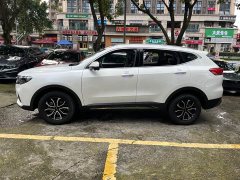 Haval H6 2023 National Trend Edition 1.5T Automatic Urban Version - ფოტო 4