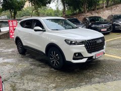 Haval H6 2023 National Trend Edition 1.5T Automatic Urban Version - ფოტო 7