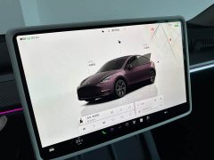 Tesla Model Y Rear-Wheel Drive - ფოტო 9